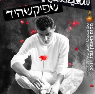 Read more about the article شفيقشهيد 2011